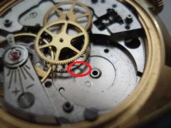 Vydraté zuby - kópia.JPG