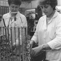 Marie Hrubá a paní Stárková, galvanika