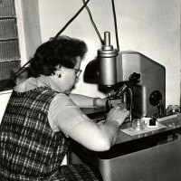 Věra Stárková