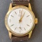 Prim 50 038.3 zlacené 
