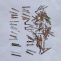 Ručky nos mix