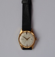 Diplomat na nošení