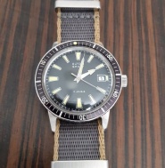 Elton Prim Sport