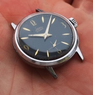 Prim ca. 50