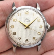 Prim pavouk šupináč klobouček 33,5 mm 60 léta