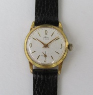Dámské náramkové hodinky ve zlaceném pouzdře, typ 50 038 3