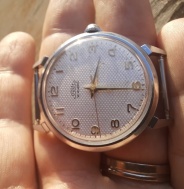 Prim pavouk šupináč s kloboučkem 