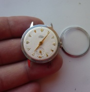 prim hvězdičky- KRÁSNÝ STAV