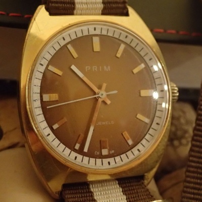 PRIM kal.66 Zlatohnede