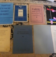 KONVOLUT LITERATURA 6.