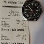 POTÁPKY r.v. 1980 po servisu + záruka 2 roky 