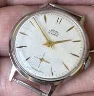 Prim dámske elegantné cal. 50
