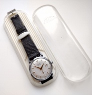 Pavouk šupináč TOP stav 