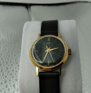 černo zlaté -dámské