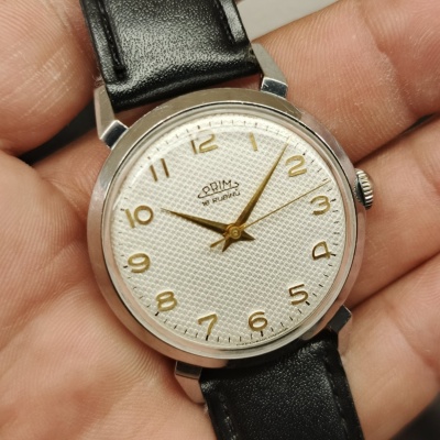 Prim pavouk šupináč krásný stav