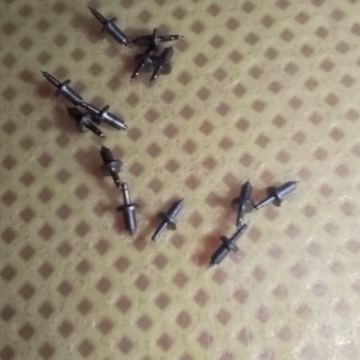 Oska setrvačky Prim.