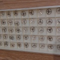 Prim kompletky 66/68 50ks