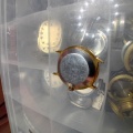 Prim  Quartz