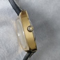 Prim  21 jewels Automatic  