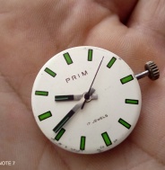 Prim v Zeleném
