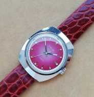 Prim Typ 66 212 1 top