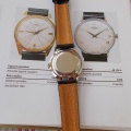 prim rok 1966 funkcni