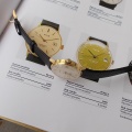 paradni prim automatic bauhaus 