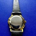 Prim 66 101 3