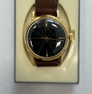 Pozlátené kaliber 66 