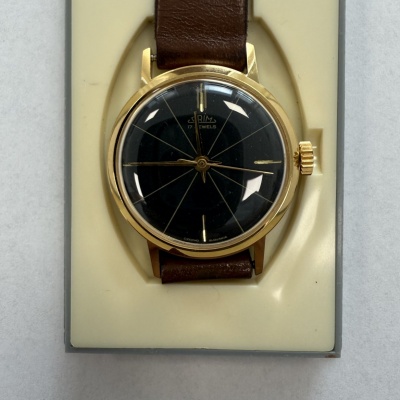 Pozlátené kaliber 66 "TOP"