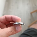 Prim cal. 50