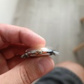 Prim osminky incabloc