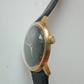 Prim Brusel TOP TOP