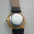 Prim Brusel TOP TOP