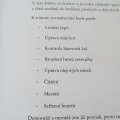 ZÁKLADNÍ OPRAVY HODIN