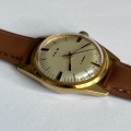 Prim elegant 66