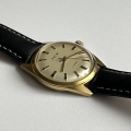 Prim elegant 66 zlacené