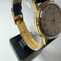 Prim 66 304 3     TOP STAV