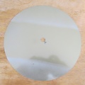 Ciferník na hodiny Prim Quartz
