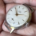 Prim dámske elegantné cal. 50