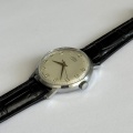 Prim elegant 66