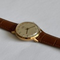 Prim elegant 66