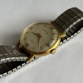 Prim elegant 66