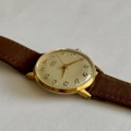 Prim elegant 66