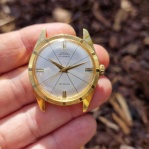 Prim ala diplomat incabloc 