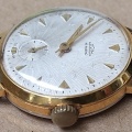 Prim 50 097.3