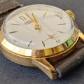 Prim 50 038.3 zlacené 