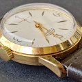 Prim 50 038.3 zlacené 
