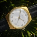 Prim cal. 66 504 1